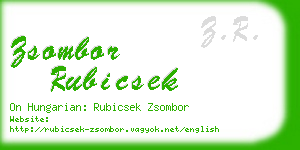 zsombor rubicsek business card